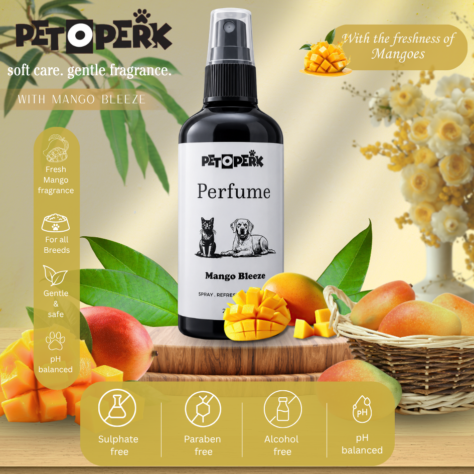 Mango Bleeze